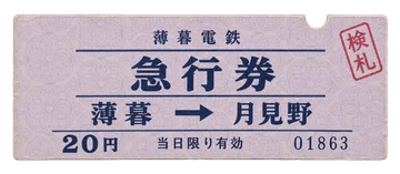 薄い藤色の地紋と濃紺の大きな文字を組み合わせた、急行列車の切符。